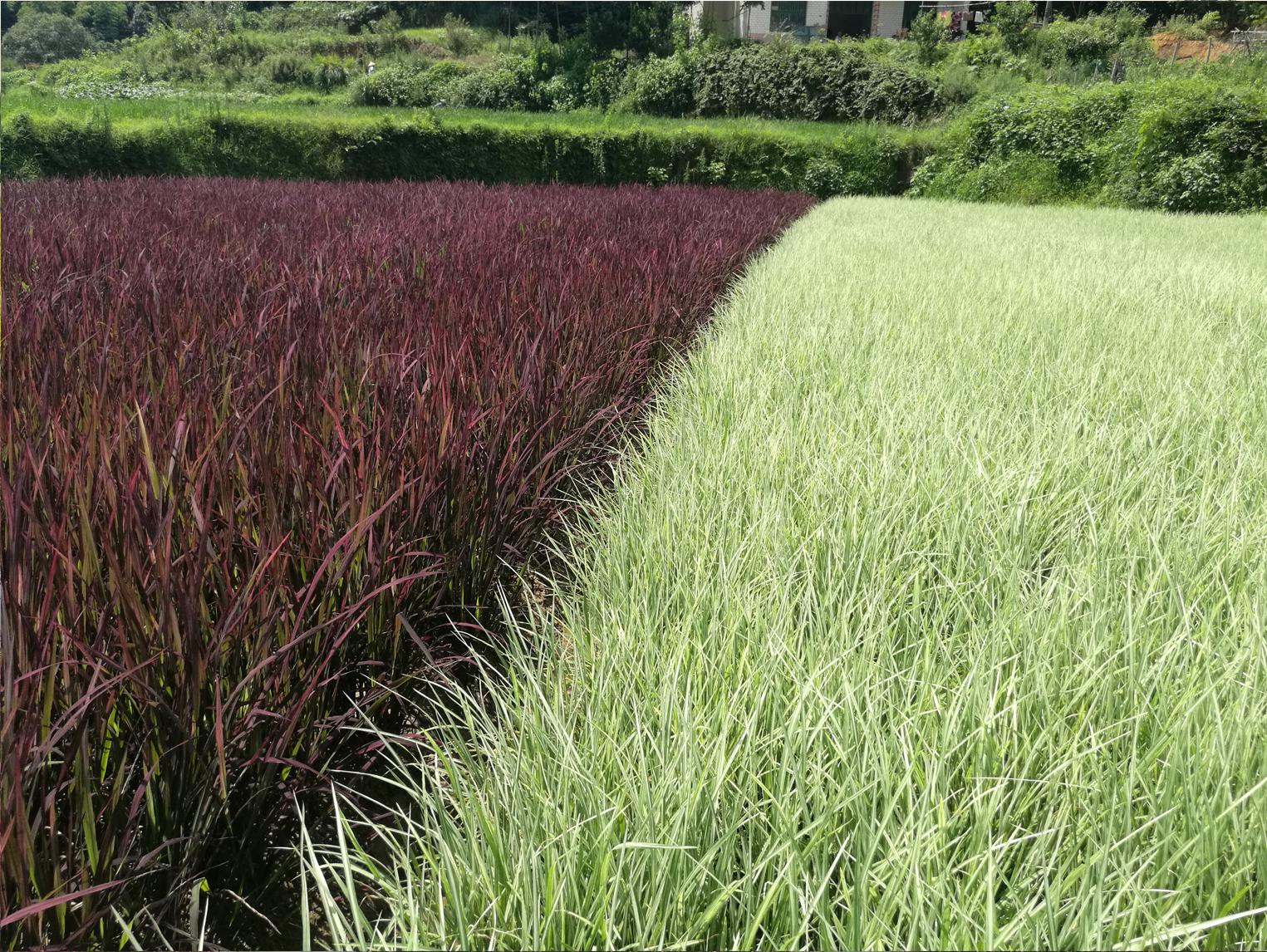 關于我們