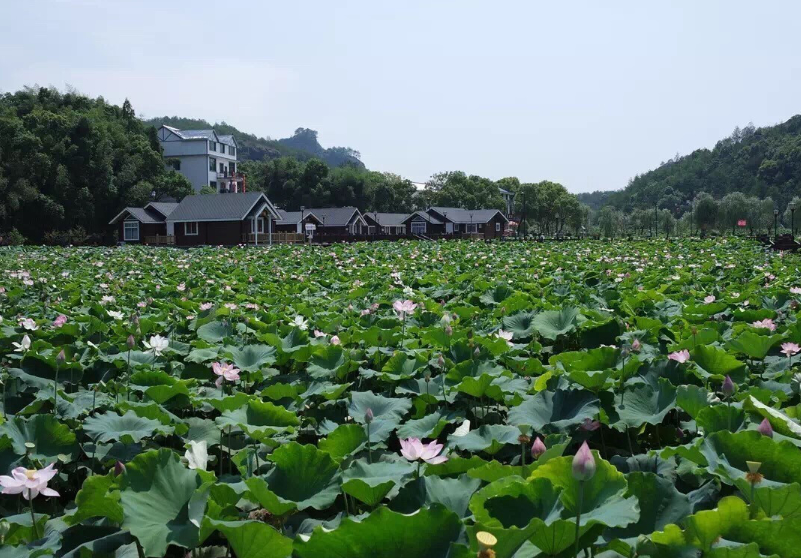 農(nóng)業(yè)園區(qū)